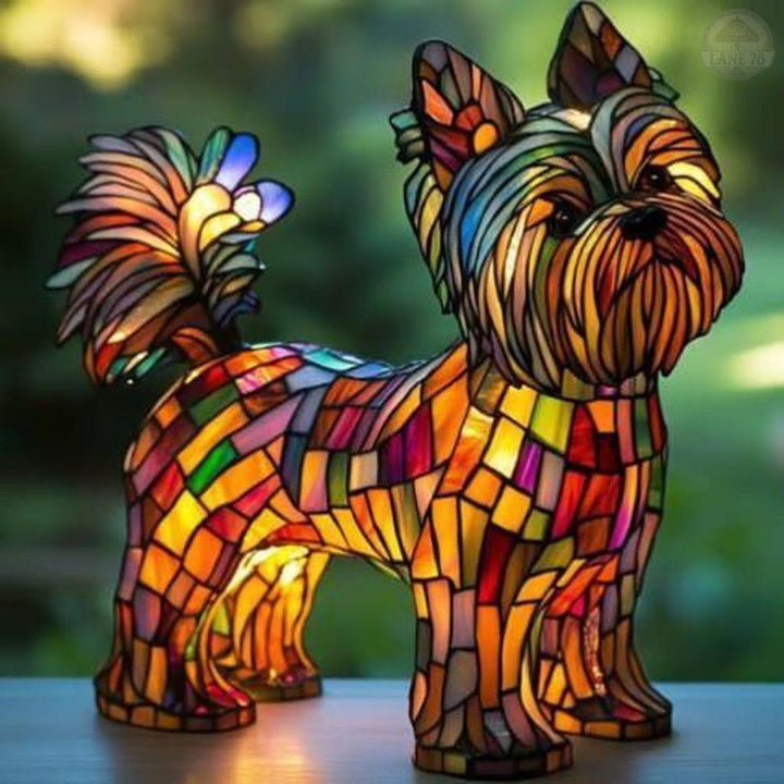 Promienny Yorkshire Terrier